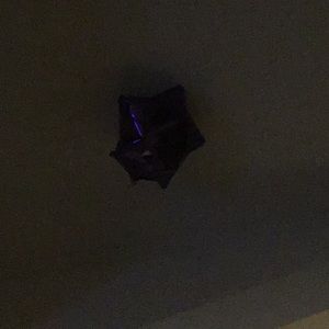 Meet your Posher, Maddy